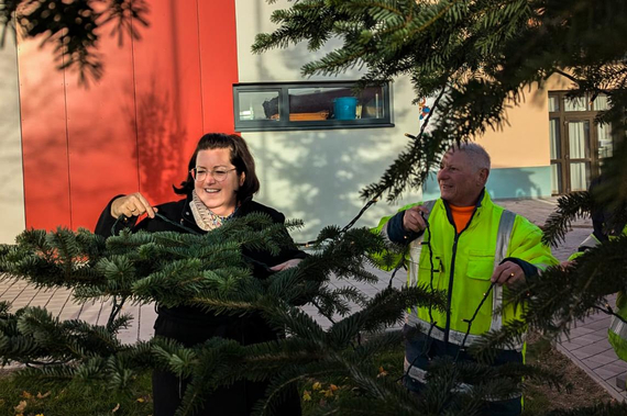 Bgm.in Divoky beim Baum schmücken