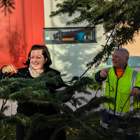Traiskirchen erstrahlt in weihnachtlichem Glanz