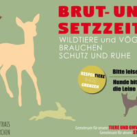 Brut- und Setzzeit in Traiskirchen
