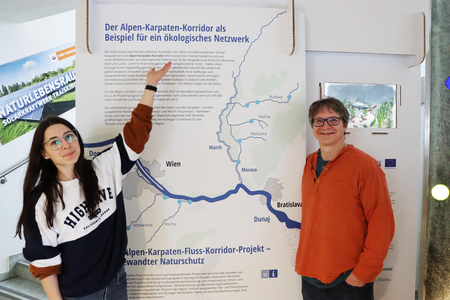 Umweltpädagogin Anja Adelmann und Christoph Litschauer vom Nationalpark Donau-Auen vor einer Ausstellungstafel.