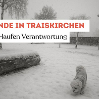 Hundekot - ein Haufen Verantwortung