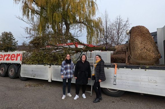 Baum wird geliefert