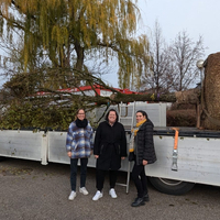 Bitte parken: Der klimafitte Zentrumsparkplatz ist fertig!