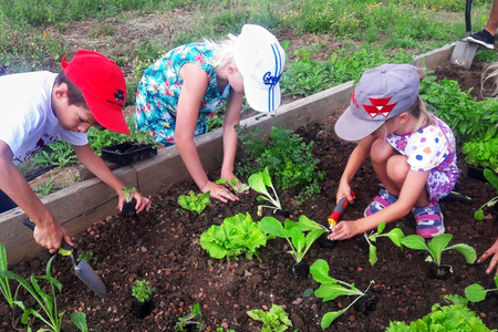Kinder säen Pflanzen.