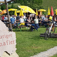 Weingut Schaflerhof - Ausschank im Weingarten