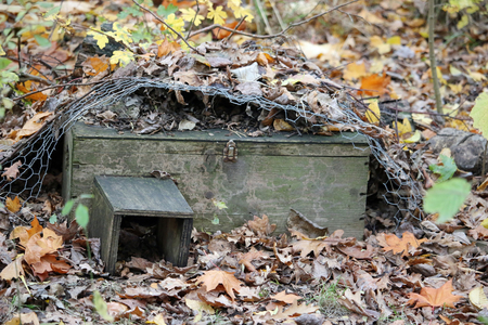 Höhle für kleine Tiere unter Laub