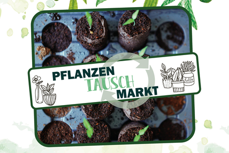 Grafik: Pflanzentauschmarkt