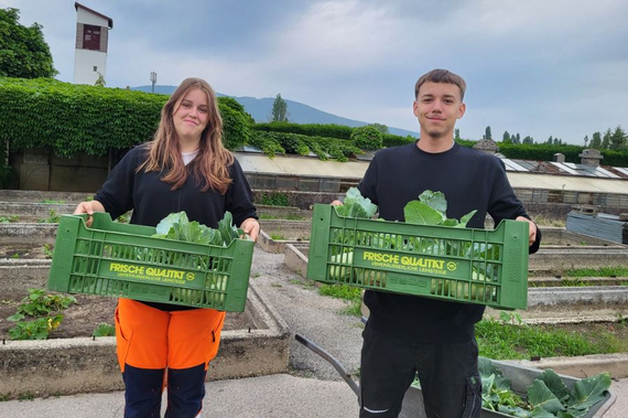 Die beiden Lehrlinge Emily und Marcel halten Körbe voll Kohlrabis.