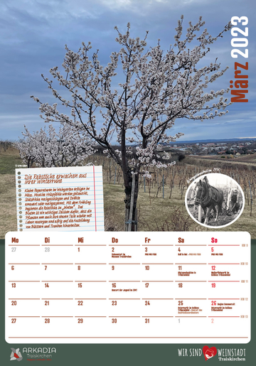 Kalenderseite März des Traiskirchner Stadtkalenders