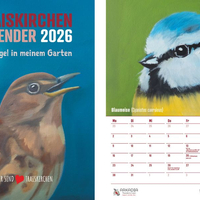 Der Traiskirchen Kalender 2026 ist da!