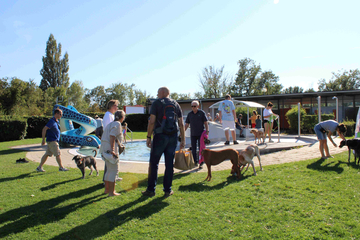 Hundebadetag Traiskirchen