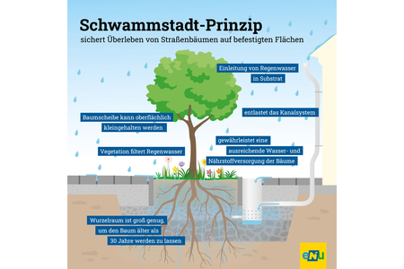 Schwammstadtprinzip