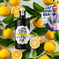 Gold für Traiskirchner Gin Likör