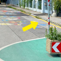 Gelbe Linien am Strassenrand – was sie bedeuten