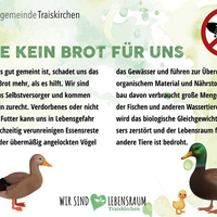 Bitte keine Enten füttern!