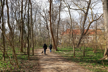 2 Menschen mit Hund spazieren durch den Schlosspark, das Schloss ist im Hintergrund