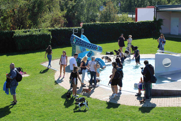 Hundebadetag Traiskirchen