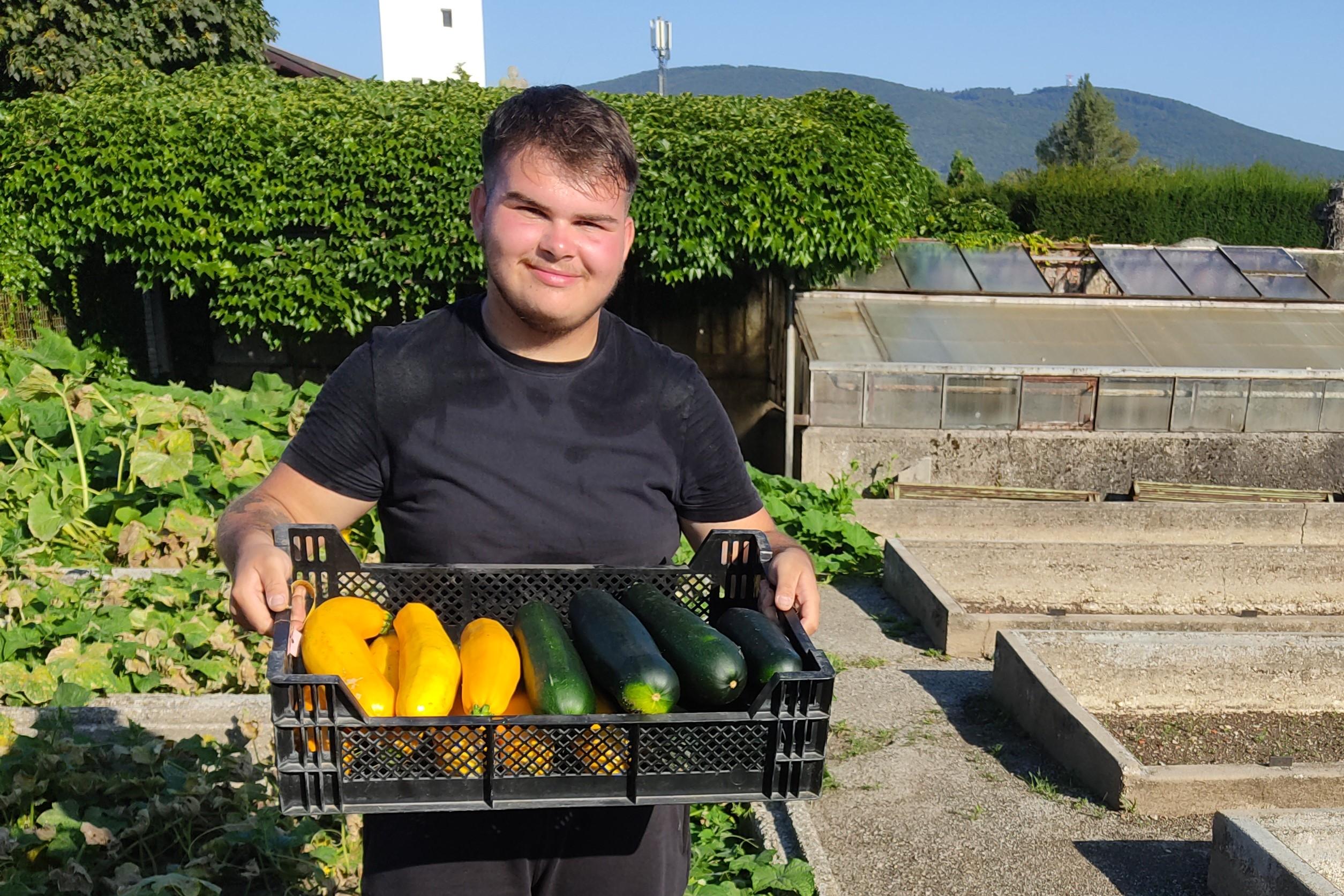 Gärtnerei baut Gemüse für „der gute laden“ an