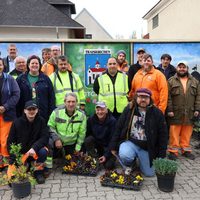 Für ein blühendes Traiskirchen das ganze Jahr