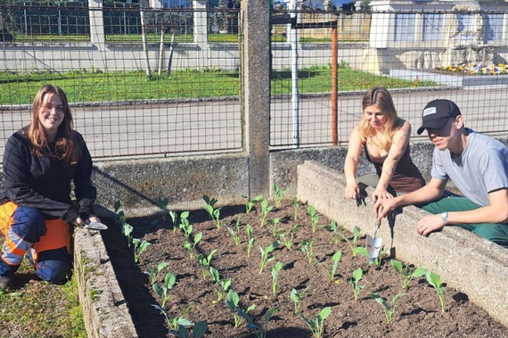 Lehrlinge bei einem von ihnen bepflanzten Beet