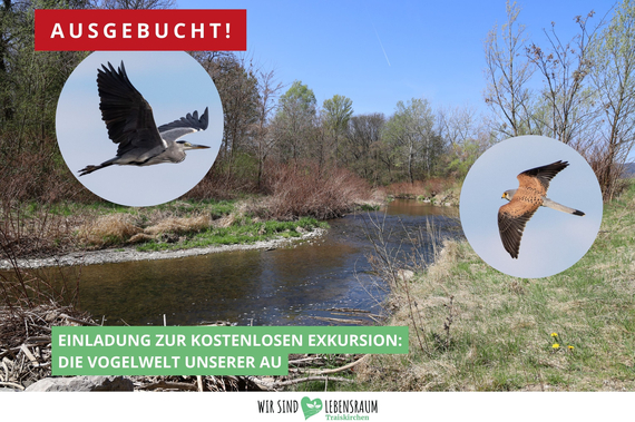 Exkursion Vogelwelt