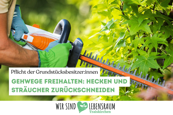 Mann schneidet mit Schneidemaschine die Hecke @Canva