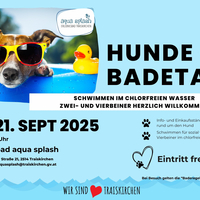 Hundebadetag