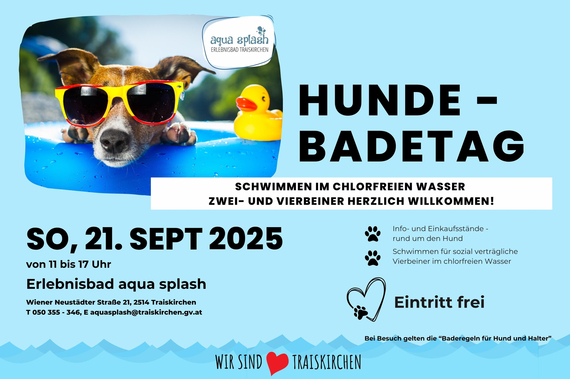 Grafik Hundebadetag