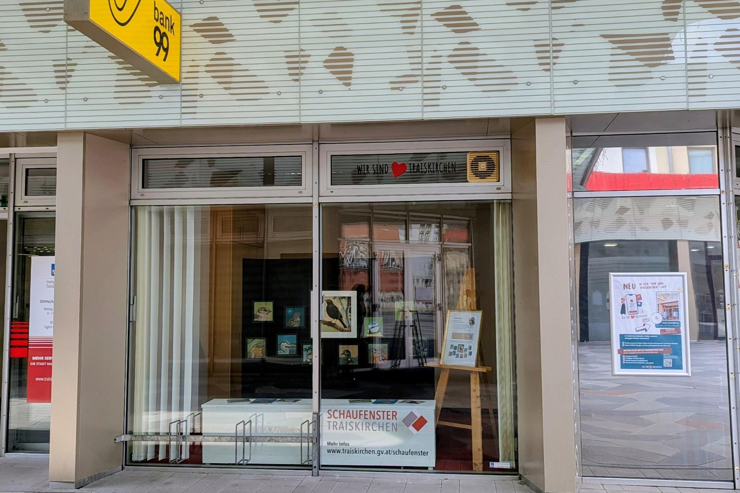 Schaufenster Traiskirchen