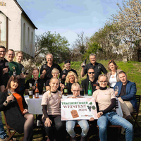 Traiskirchner Weinfest 2024 im Stadtpark