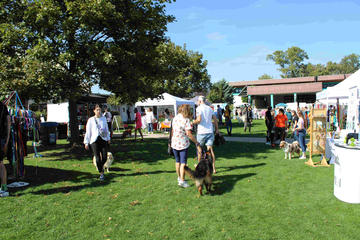Hundebadetag Traiskirchen