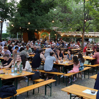 Traiskirchner Weinfest