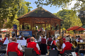 das zusammengestellte orchester spielt
