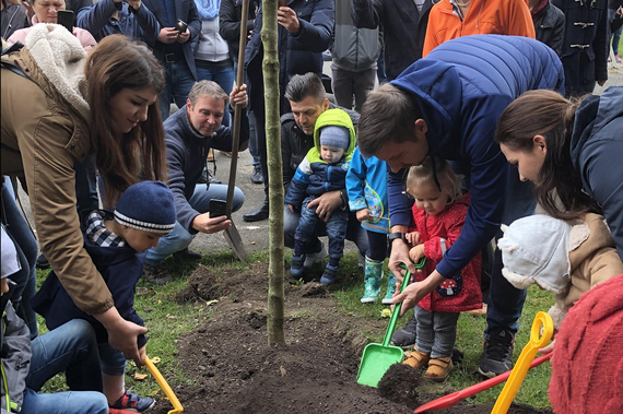 Bgm. Andreas Babler und eine Gruppe Eltern mit Kindern pflanzen einen Lebensbaum.