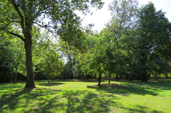 Der Stadtpark Traiskirchen.
