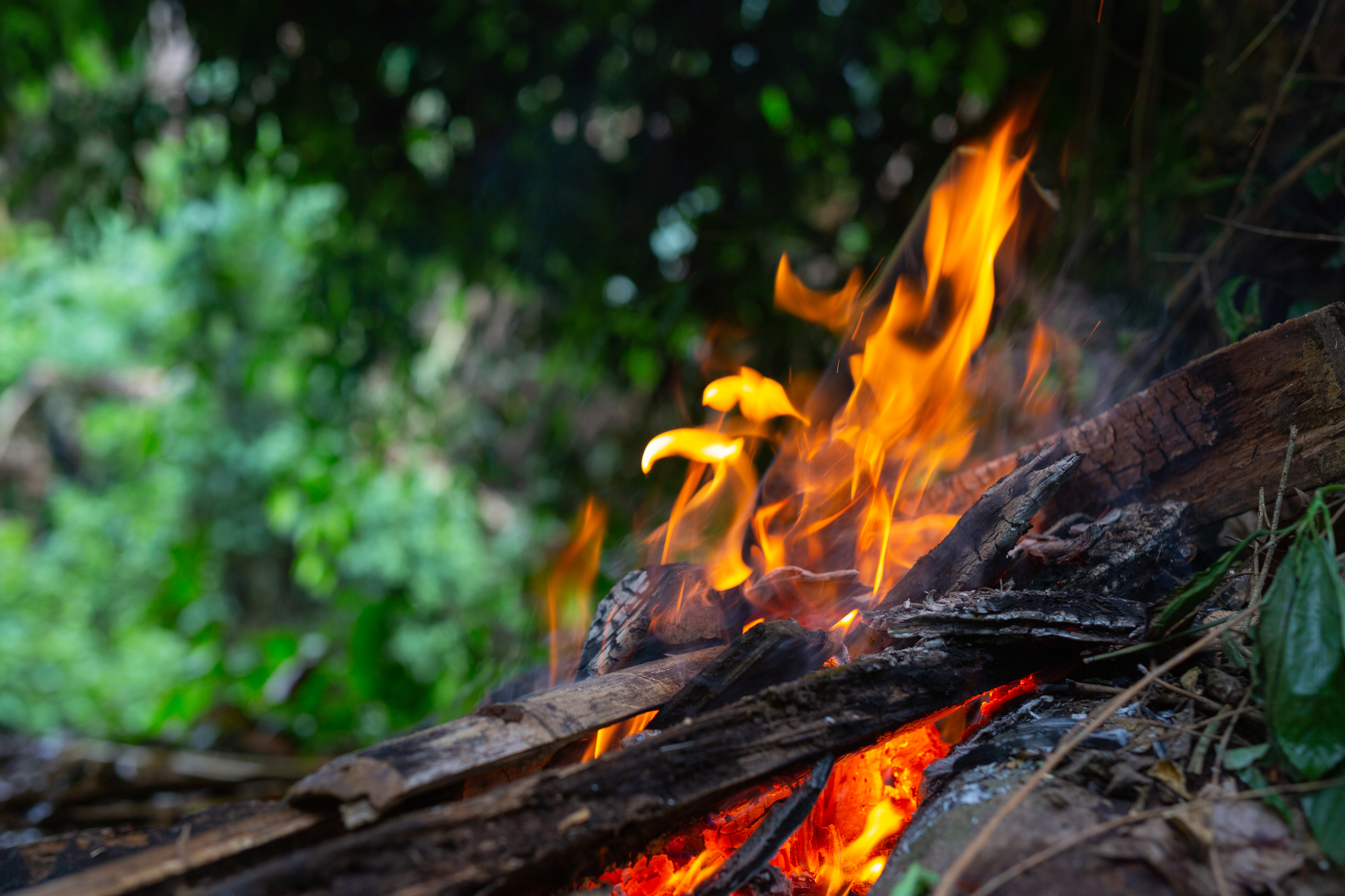 Waldbrandverordnung des Bezirks Baden in Kraft getreten